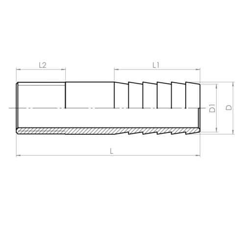 Hose tail, Male - Drawing